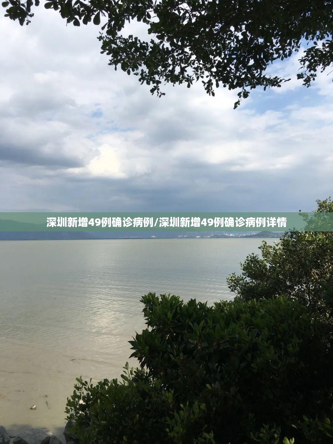 深圳新增49例确诊病例/深圳新增49例确诊病例详情 深圳新增49例确诊病例/深圳新增49例确诊病例详情