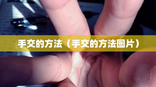 手交的方法(手交的方法图片) 手交的方法(手交的方法图片)