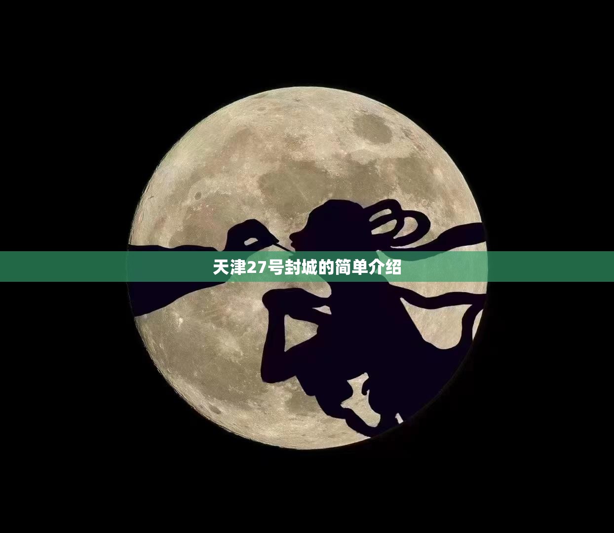 天津27号封城的简单介绍