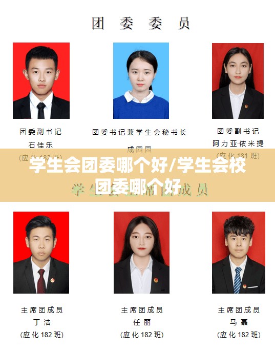 学生会团委哪个好/学生会校团委哪个好