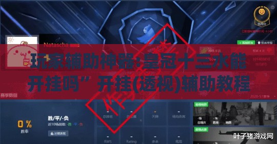 玩家辅助神器:皇冠十三水能开挂吗”开挂(透视)辅助教程