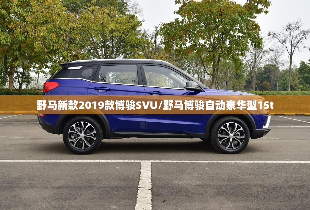野马新款2019款博骏SVU/野马博骏自动豪华型15t