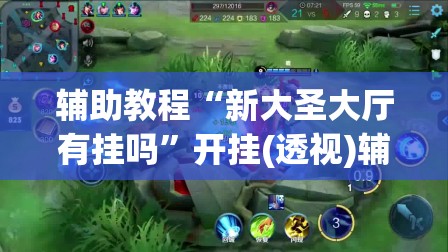 辅助教程“新大圣大厅有挂吗”开挂(透视)辅助神器