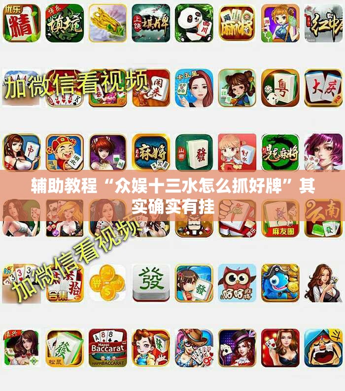 辅助教程“众娱十三水怎么抓好牌	”其实确实有挂