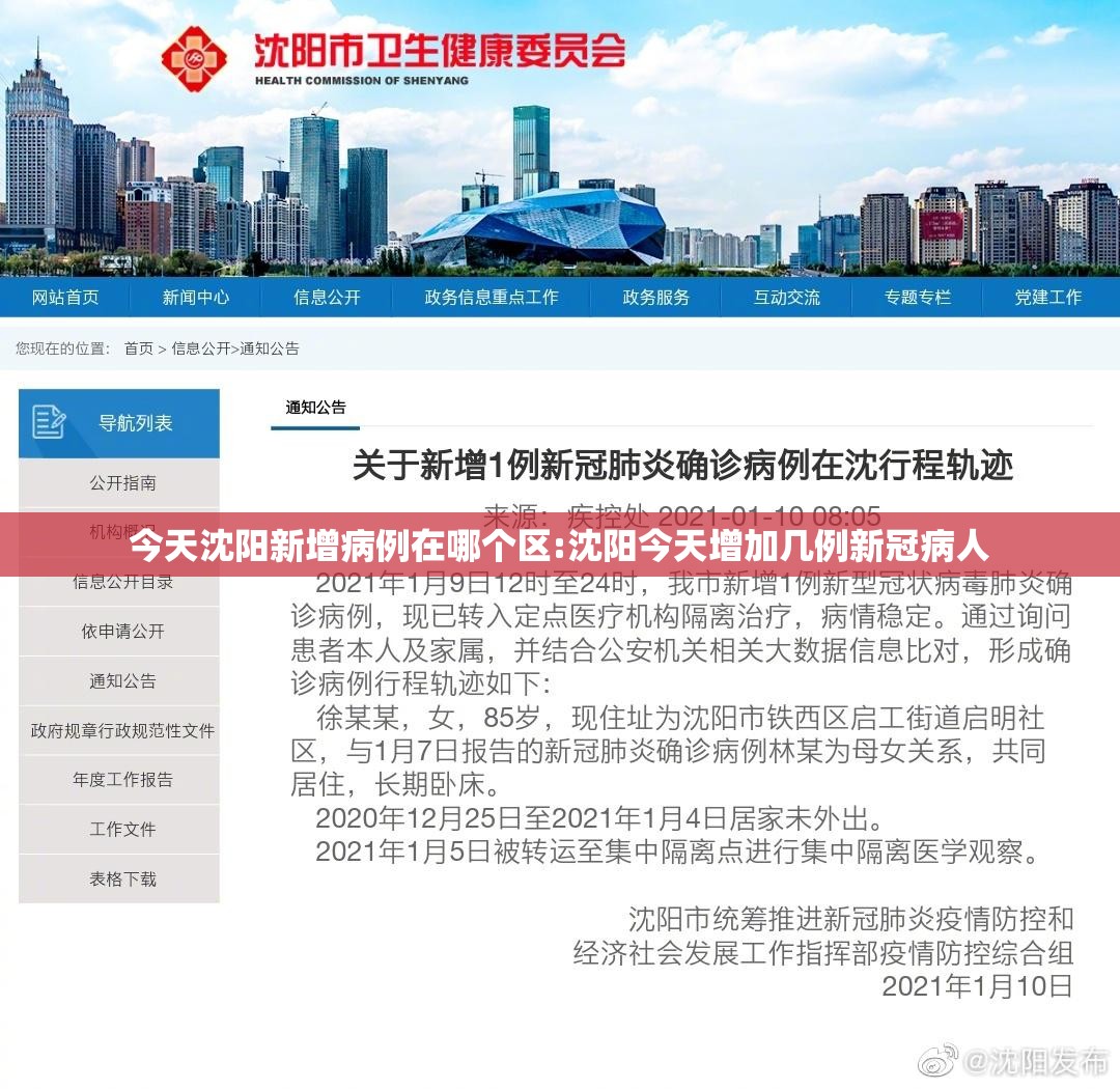 今天沈阳新增病例在哪个区:沈阳今天增加几例新冠病人