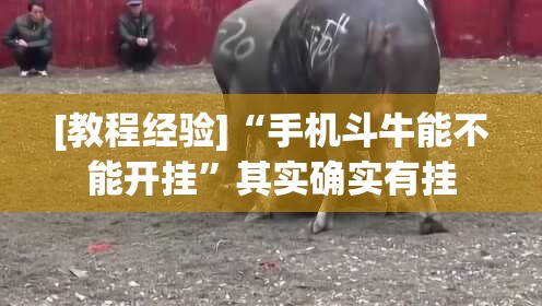 [教程经验]“手机斗牛能不能开挂”其实确实有挂