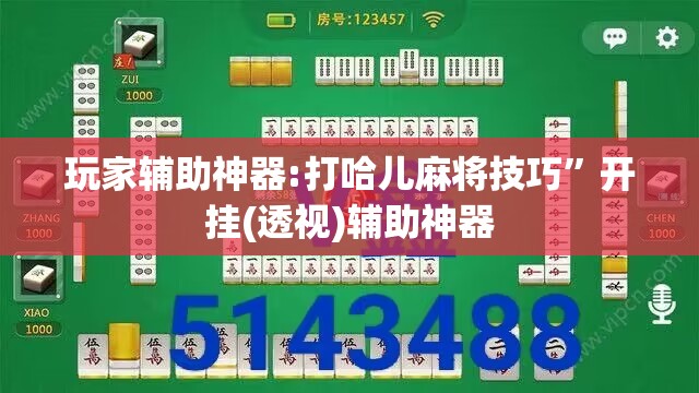 玩家辅助神器:打哈儿麻将技巧”开挂(透视)辅助神器