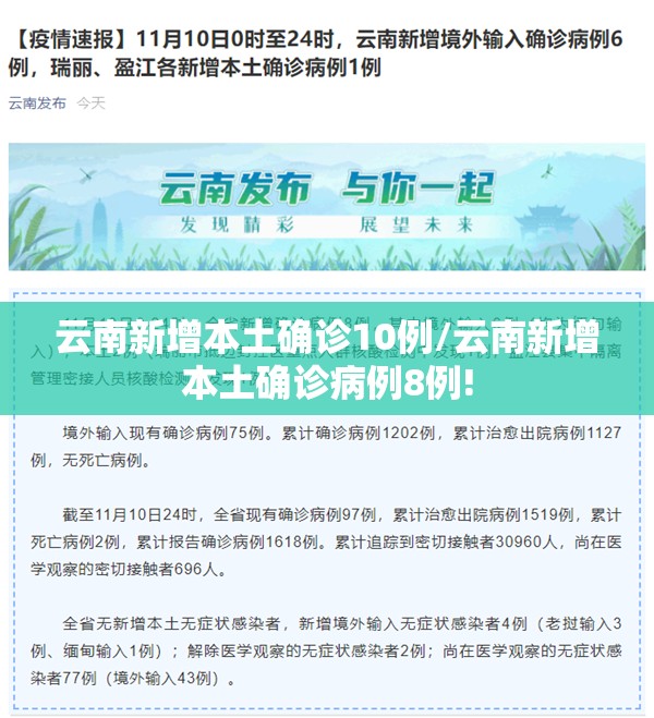 云南新增本土确诊10例/云南新增本土确诊病例8例!