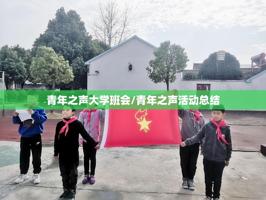 青年之声大学班会/青年之声活动总结