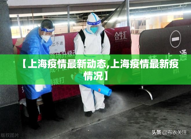 【上海疫情最新动态,上海疫情最新疫情况】 【上海疫情最新动态,上海疫情最新疫情况】