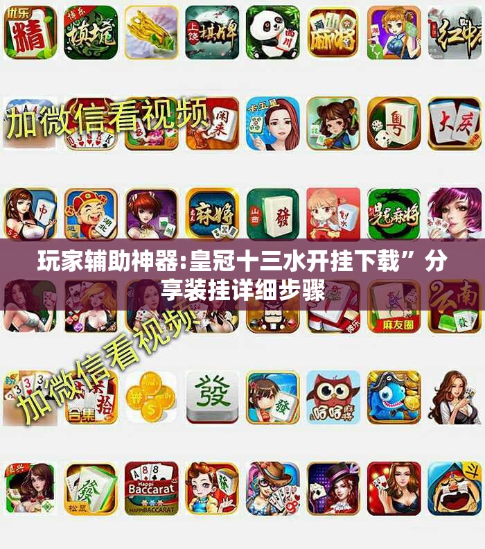 玩家辅助神器:皇冠十三水开挂下载	”分享装挂详细步骤