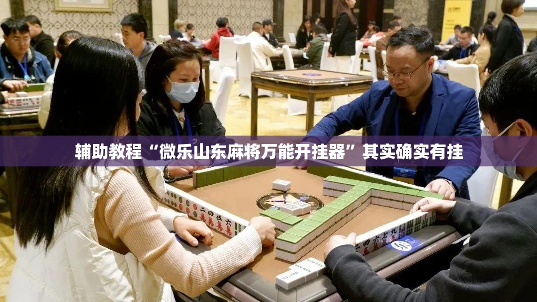 辅助教程“微乐山东麻将万能开挂器	”其实确实有挂