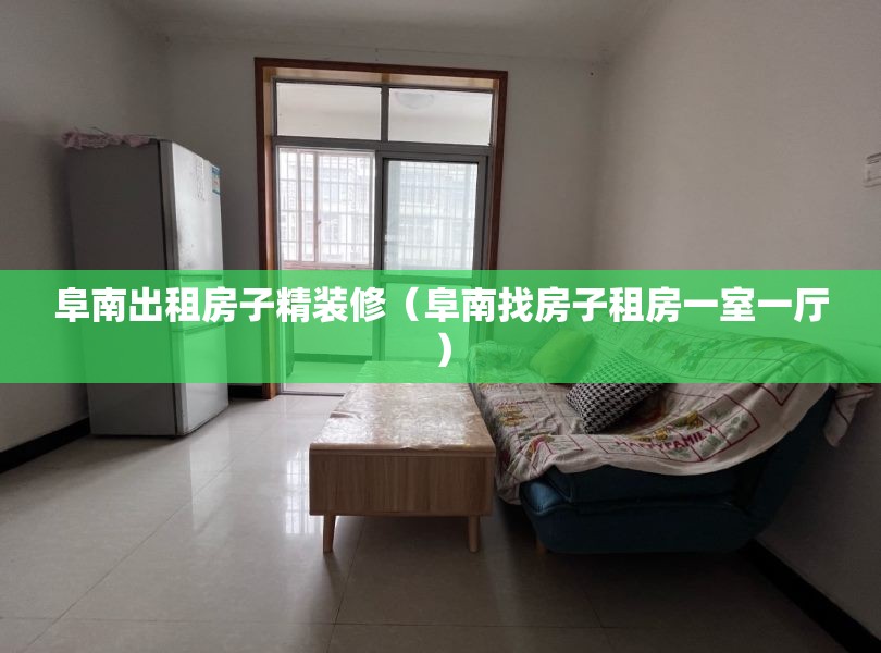 阜南出租房子精装修（阜南找房子租房一室一厅）
