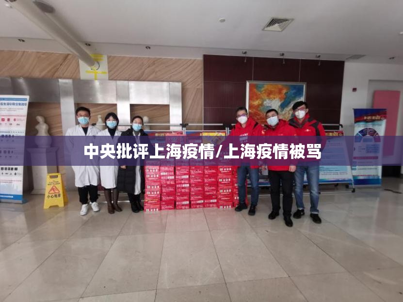 中央批评上海疫情/上海疫情被骂
