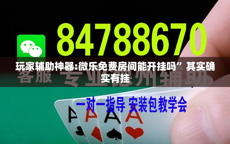 玩家辅助神器:微乐免费房间能开挂吗	”其实确实有挂