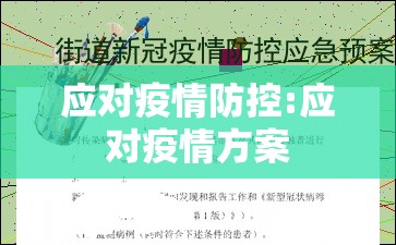 应对疫情防控:应对疫情方案