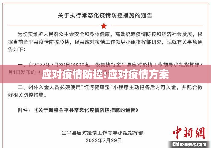 应对疫情防控:应对疫情方案