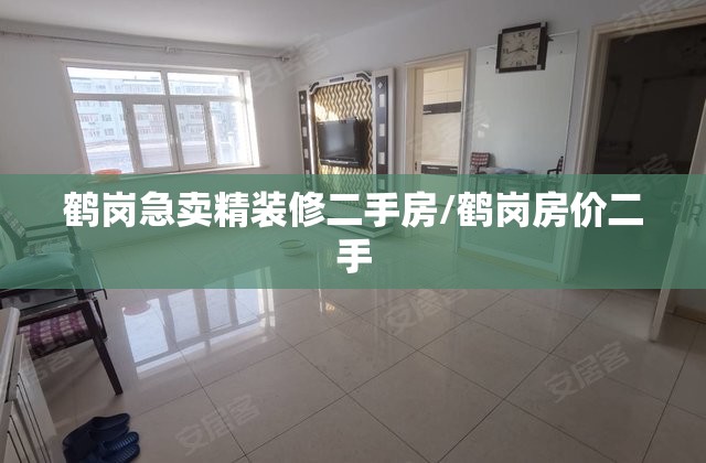 鹤岗急卖精装修二手房/鹤岗房价二手 鹤岗急卖精装修二手房/鹤岗房价二手
