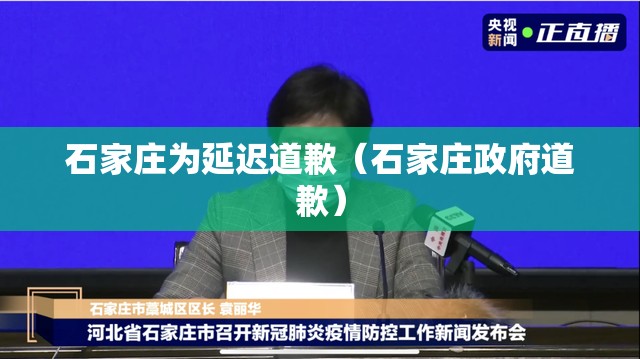 石家庄为延迟道歉(石家庄政府道歉) 石家庄为延迟道歉(石家庄政府道歉)