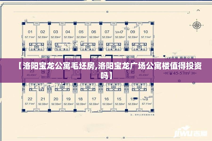 【洛阳宝龙公寓毛坯房,洛阳宝龙广场公寓楼值得投资吗】