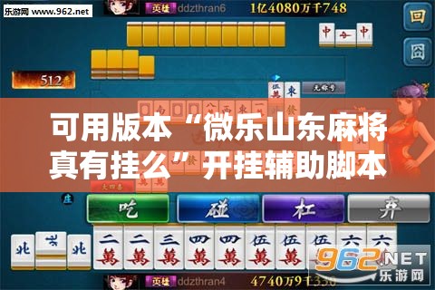 可用版本“微乐山东麻将真有挂么”开挂辅助脚本+详细开挂安装教程