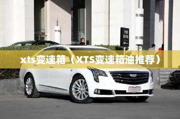 xts变速箱（XTS变速箱油推荐）