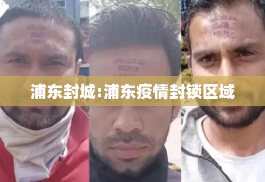 浦东封城:浦东疫情封锁区域 浦东封城:浦东疫情封锁区域