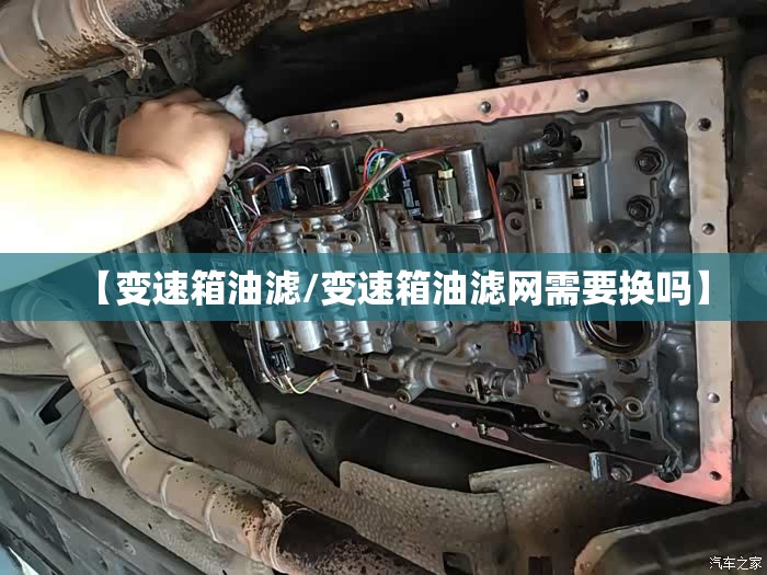 【变速箱油滤/变速箱油滤网需要换吗】