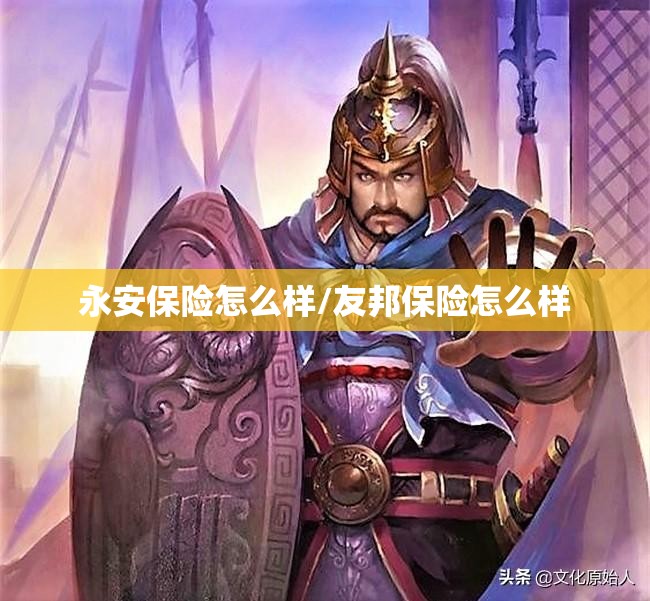 永安保险怎么样/友邦保险怎么样
