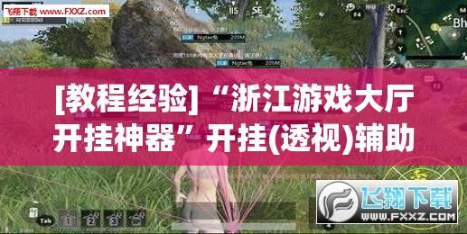 [教程经验]“浙江游戏大厅开挂神器”开挂(透视)辅助神器