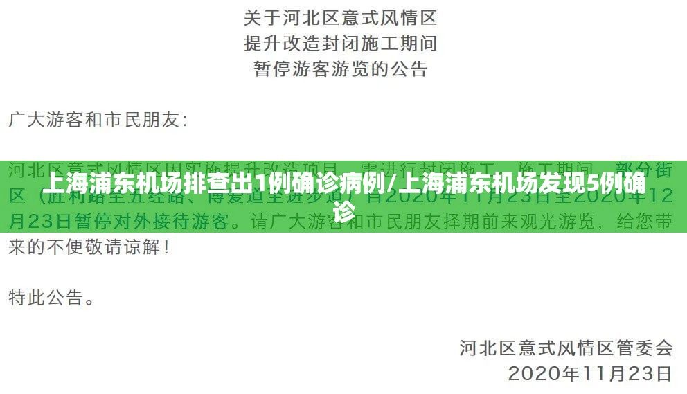 上海浦东机场排查出1例确诊病例/上海浦东机场发现5例确诊 上海浦东机场排查出1例确诊病例/上海浦东机场发现5例确诊