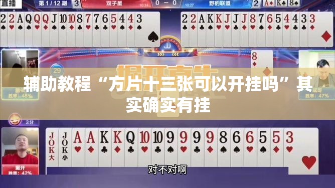 辅助教程“方片十三张可以开挂吗”其实确实有挂