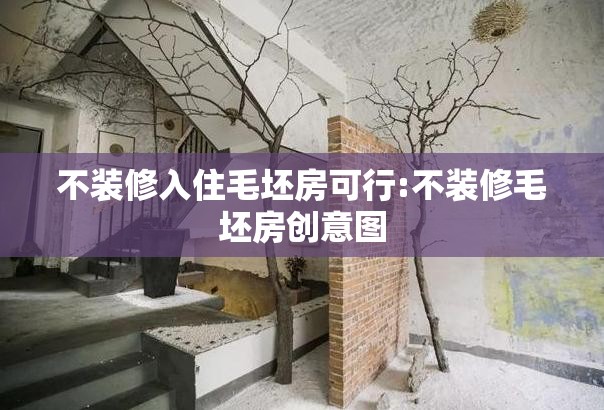 不装修入住毛坯房可行:不装修毛坯房创意图