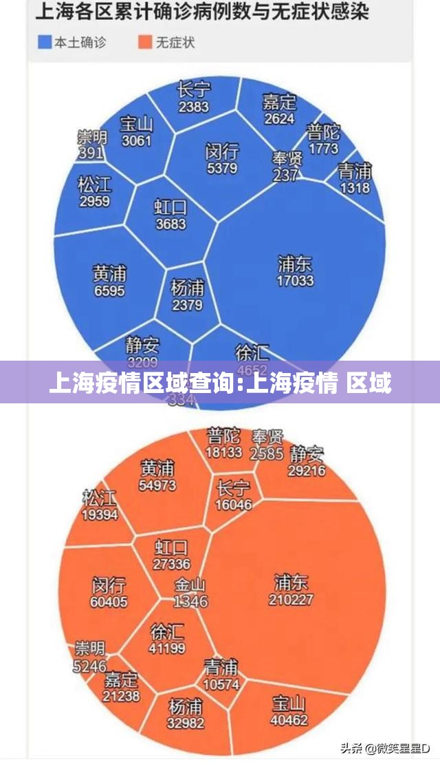 上海疫情区域查询:上海疫情 区域