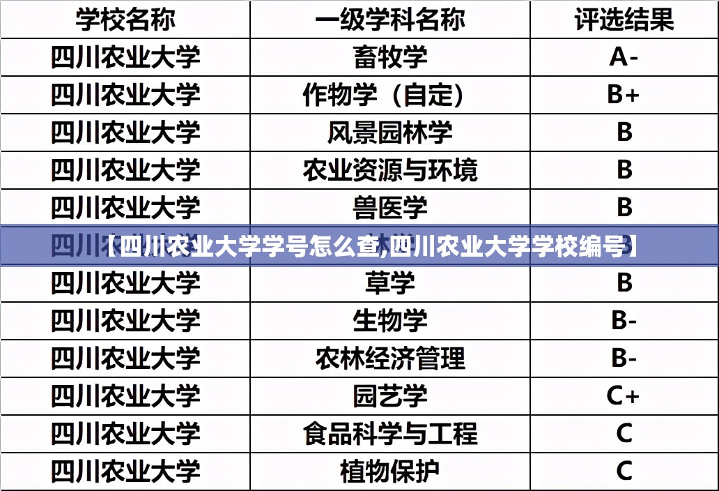 【四川农业大学学号怎么查,四川农业大学学校编号】