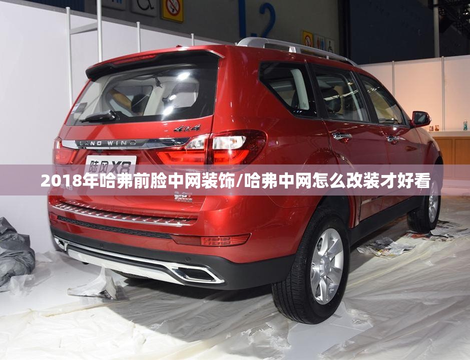 2018年哈弗前脸中网装饰/哈弗中网怎么改装才好看 2018年哈弗前脸中网装饰/哈弗中网怎么改装才好看