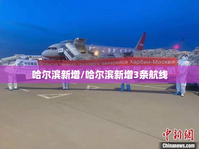 哈尔滨新增/哈尔滨新增3条航线 哈尔滨新增/哈尔滨新增3条航线