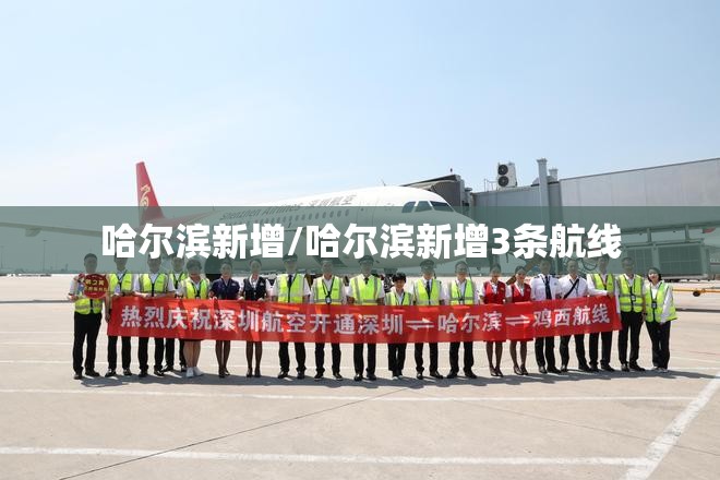 哈尔滨新增/哈尔滨新增3条航线 哈尔滨新增/哈尔滨新增3条航线