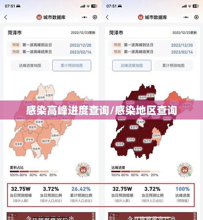 感染高峰进度查询/感染地区查询