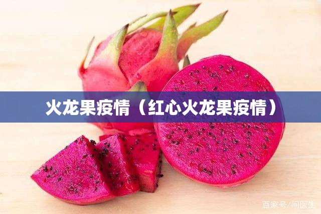 火龙果疫情（红心火龙果疫情）
