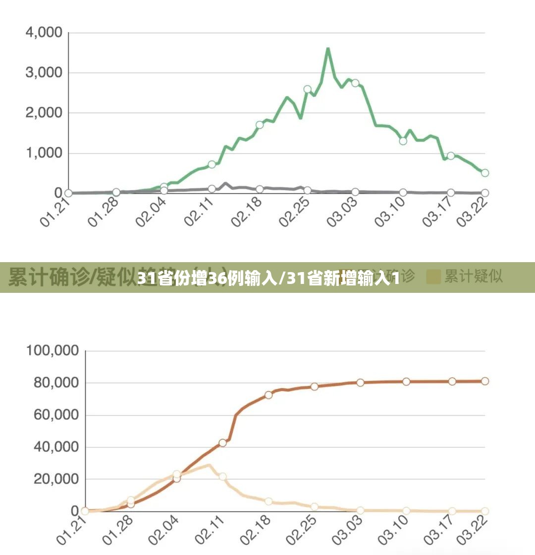 31省份增36例输入/31省新增输入1
