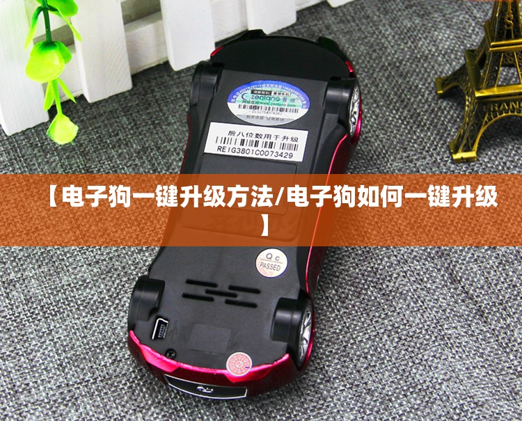 【电子狗一键升级方法/电子狗如何一键升级】 【电子狗一键升级方法/电子狗如何一键升级】
