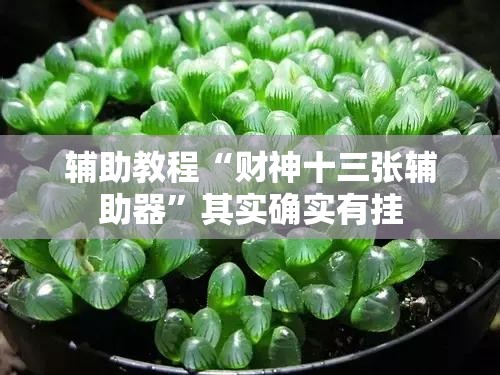 辅助教程“财神十三张辅助器	”其实确实有挂