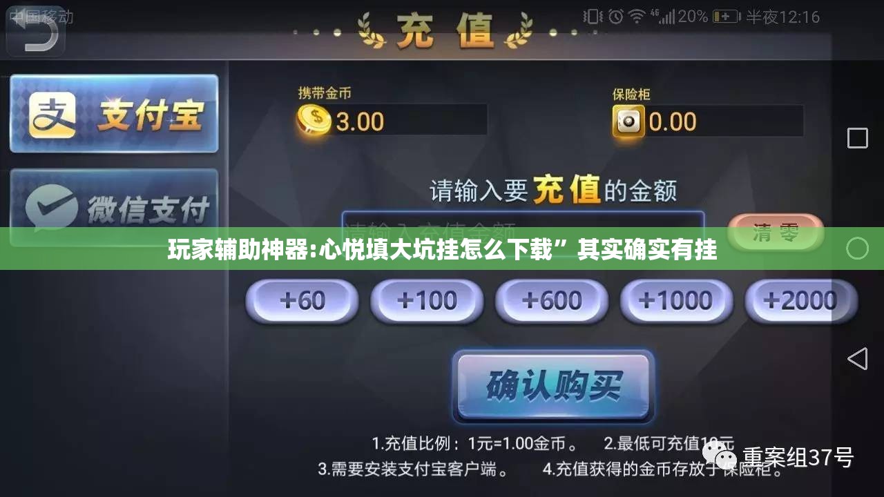 玩家辅助神器:心悦填大坑挂怎么下载	”其实确实有挂