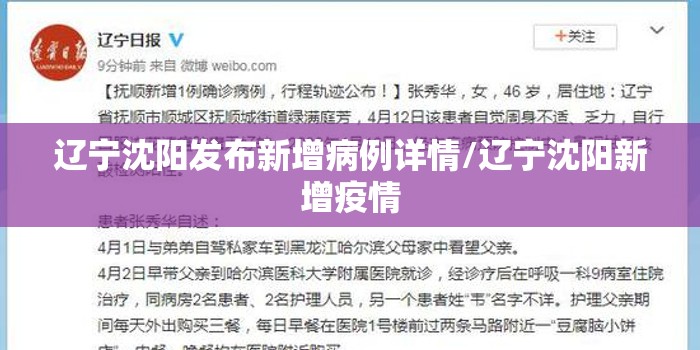 辽宁沈阳发布新增病例详情/辽宁沈阳新增疫情 辽宁沈阳发布新增病例详情/辽宁沈阳新增疫情