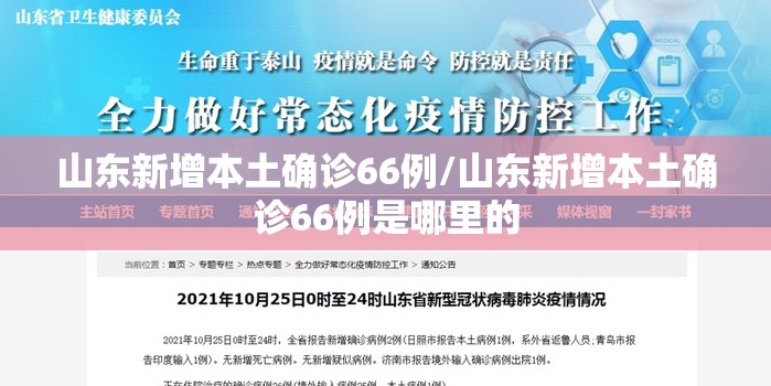山东新增本土确诊66例/山东新增本土确诊66例是哪里的 山东新增本土确诊66例/山东新增本土确诊66例是哪里的