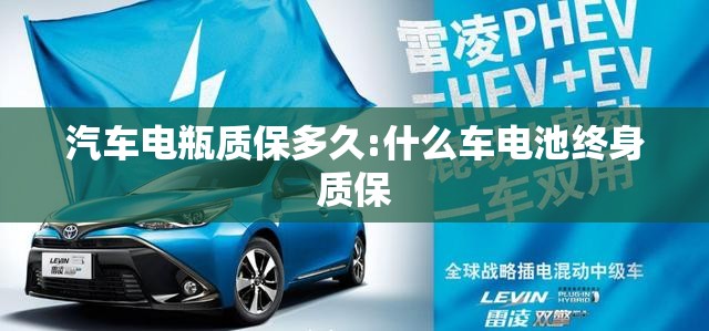 汽车电瓶质保多久:什么车电池终身质保