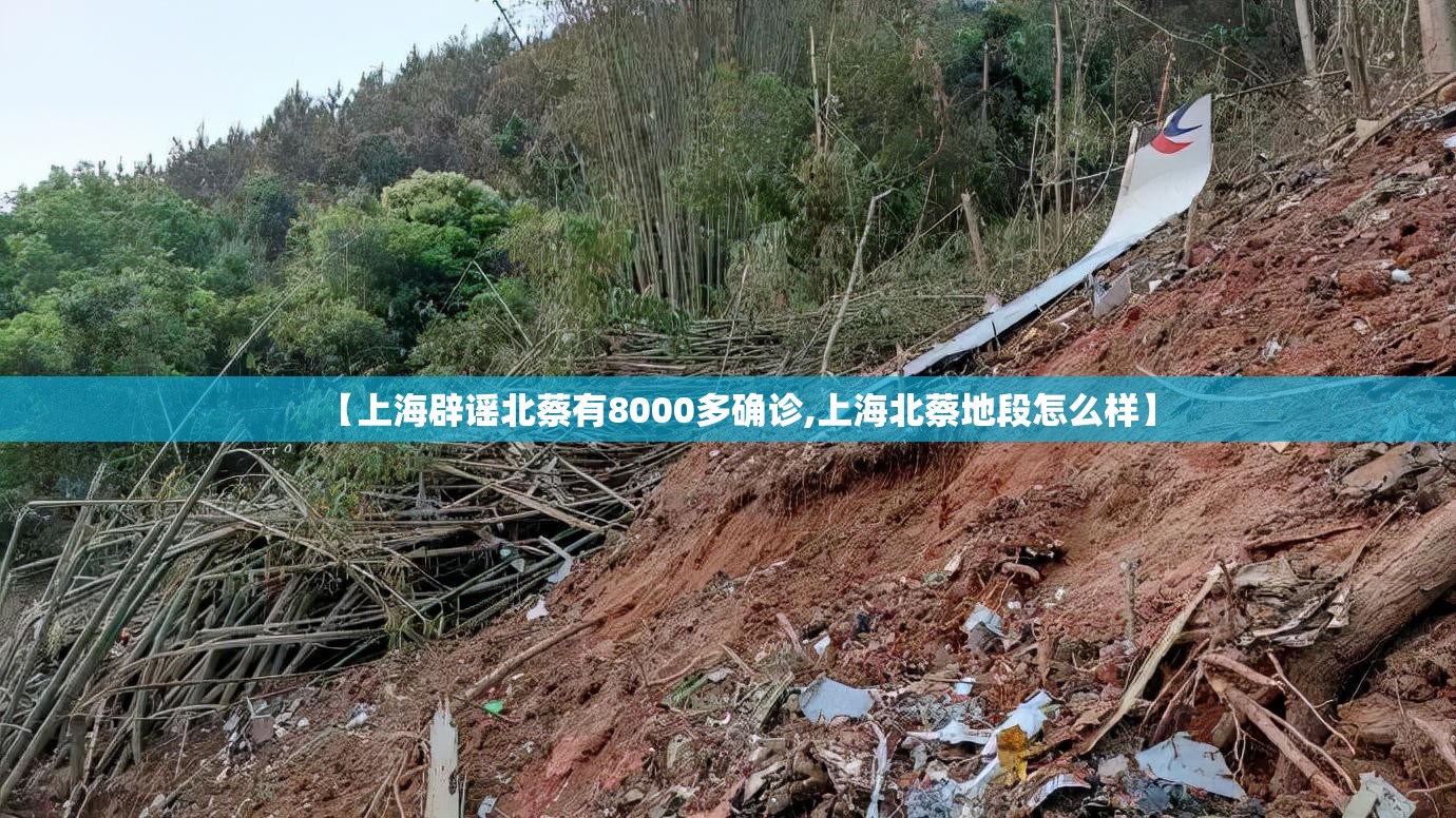 【上海辟谣北蔡有8000多确诊,上海北蔡地段怎么样】 【上海辟谣北蔡有8000多确诊,上海北蔡地段怎么样】
