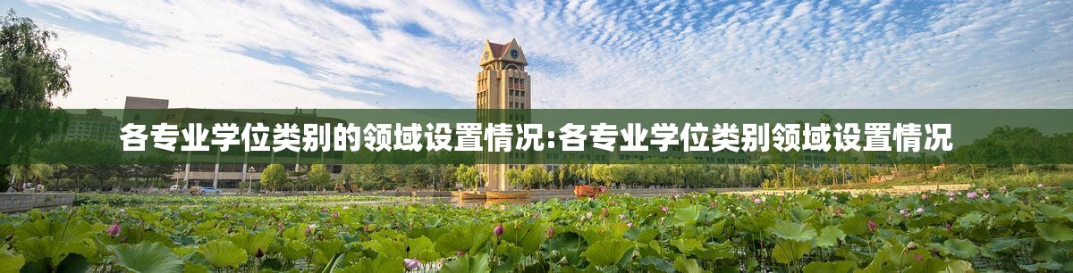 各专业学位类别的领域设置情况:各专业学位类别领域设置情况 各专业学位类别的领域设置情况:各专业学位类别领域设置情况