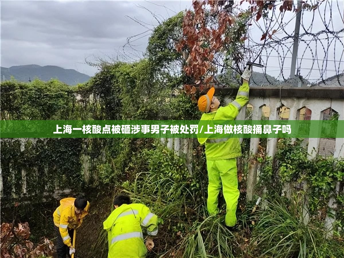 上海一核酸点被砸涉事男子被处罚/上海做核酸捅鼻子吗 上海一核酸点被砸涉事男子被处罚/上海做核酸捅鼻子吗